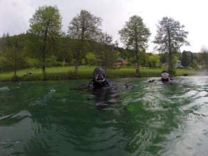 13162337 1177102865654609 1717677556 n    